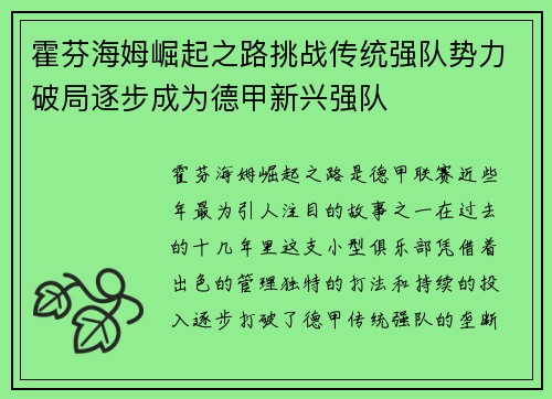 霍芬海姆崛起之路挑战传统强队势力破局逐步成为德甲新兴强队