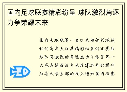 国内足球联赛精彩纷呈 球队激烈角逐力争荣耀未来